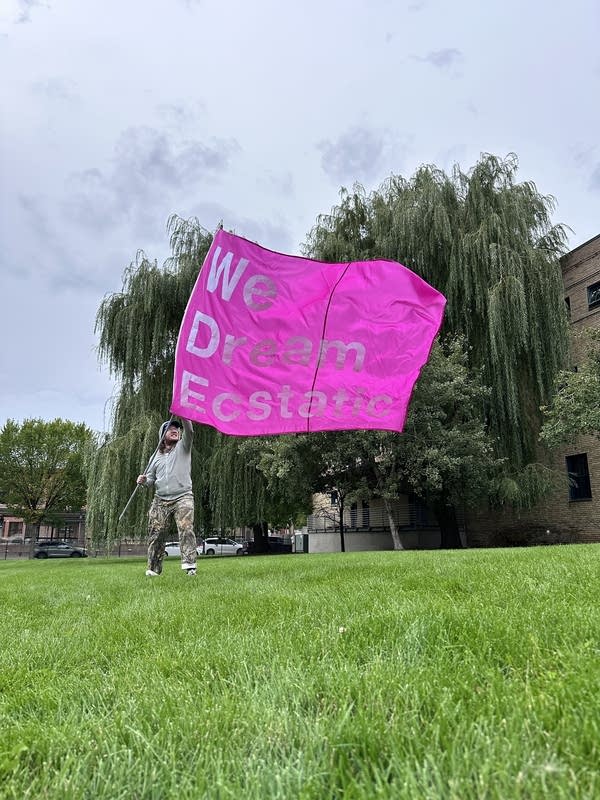 A person waves a large, hot-pink banner reading, "We Dream Ecstatic."