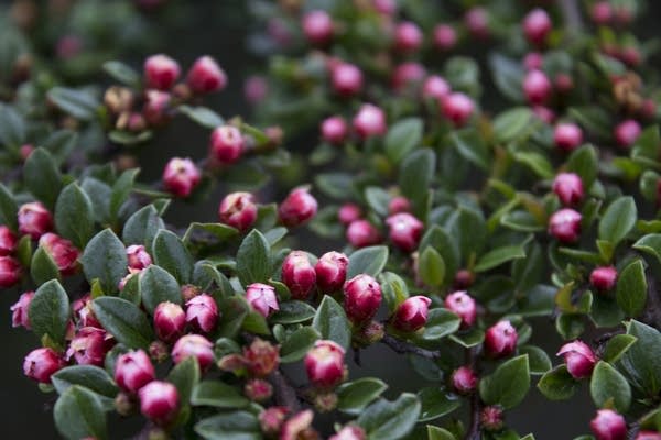 Coffee Break: Happy Spring