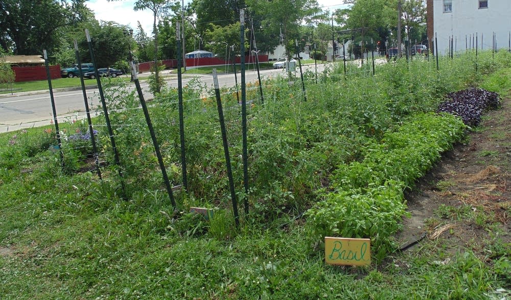 Stone's Throw Urban Farm
