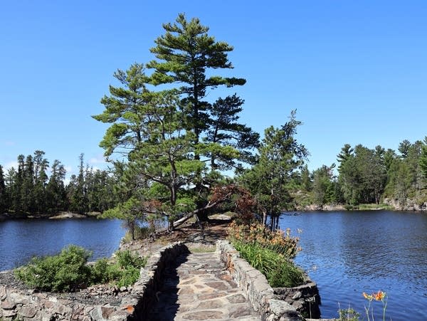 A green tree against blue sky and water