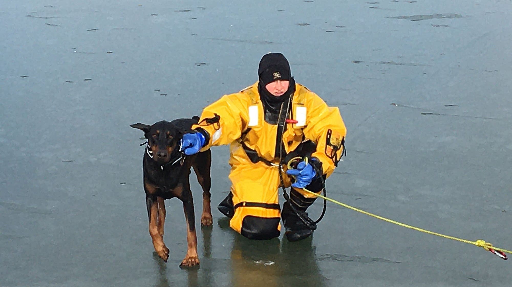 Fire crews rescue dog from icy lake in Rochester MPR News