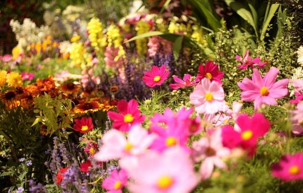 The Annual Hampton Court Flower Show Is In Full Bl