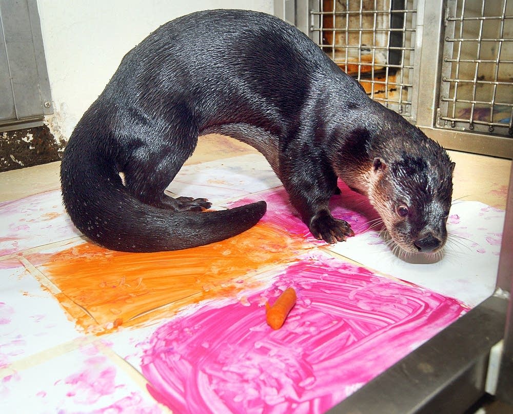 Otter artist at work