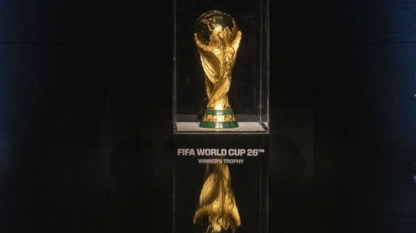 Backlash prompts slashed World Cup ticket prices