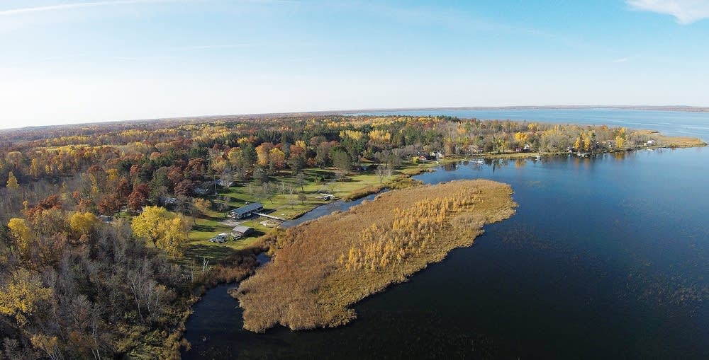 Giant, bobbing bog threatens docks on northern Minn. lake MPR News