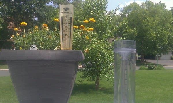 dual rain gauges