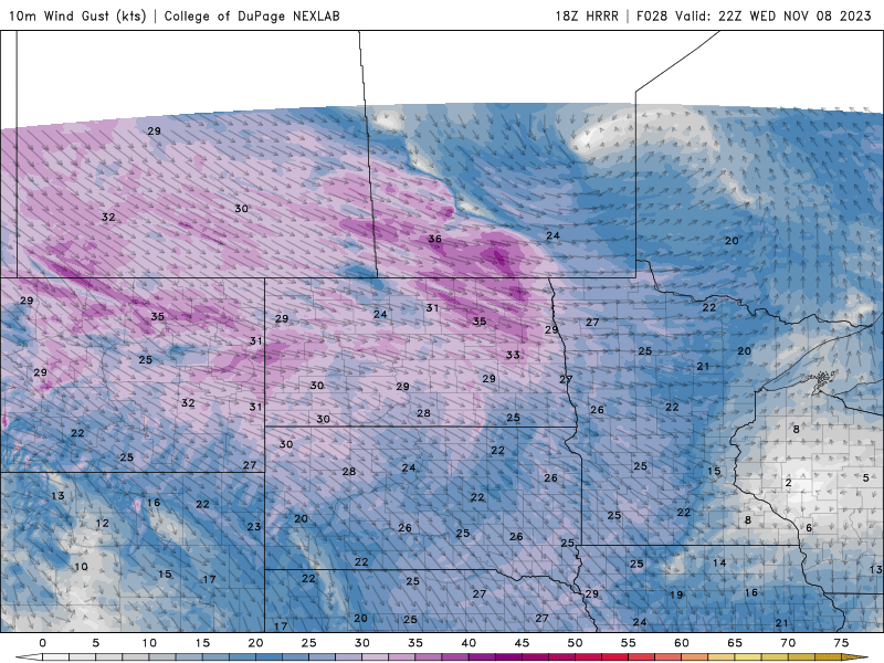 winds WED-THU 7