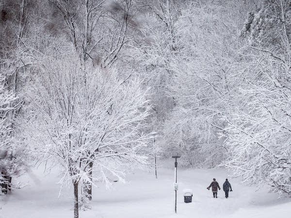 Two people walk among snowy trees