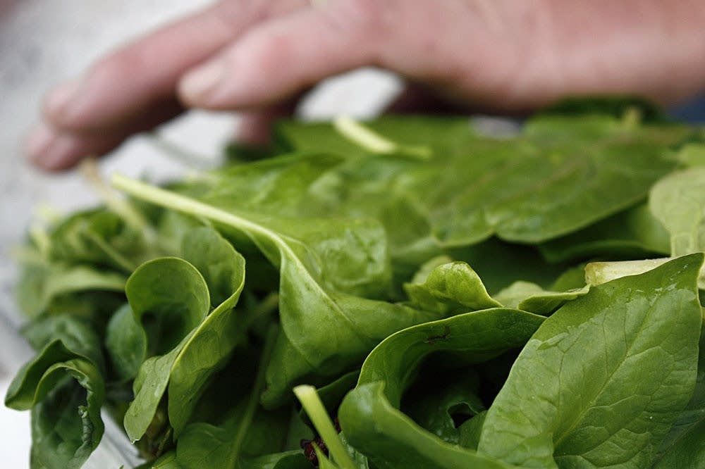 Spinach for sale