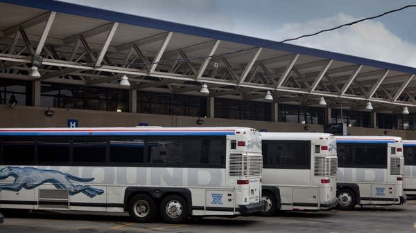 Budget-conscious consumers are choosing to take the bus over short-haul flights this summer. 