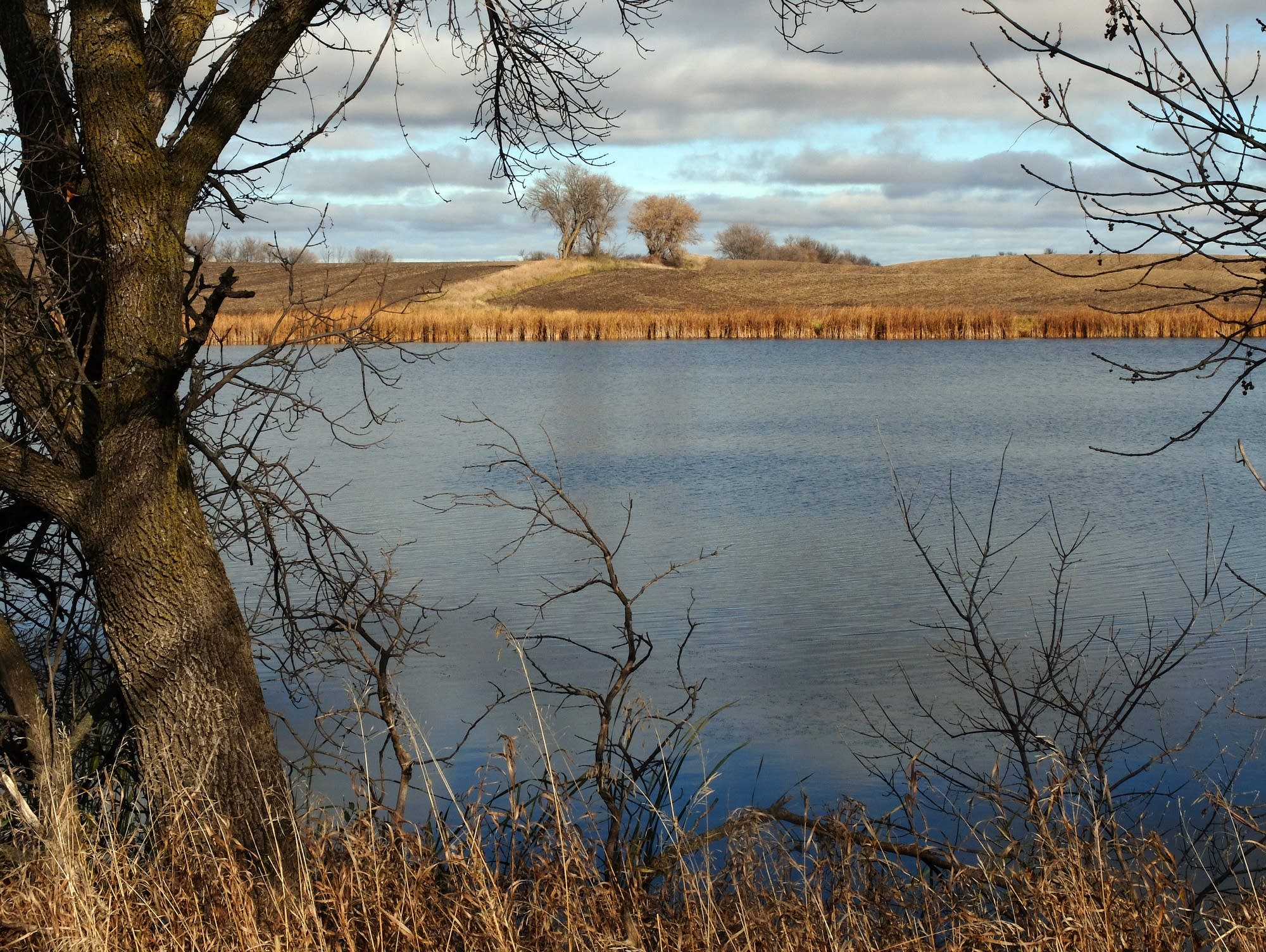 An Otter Tail County lake is nearly surrounded by farm fields.