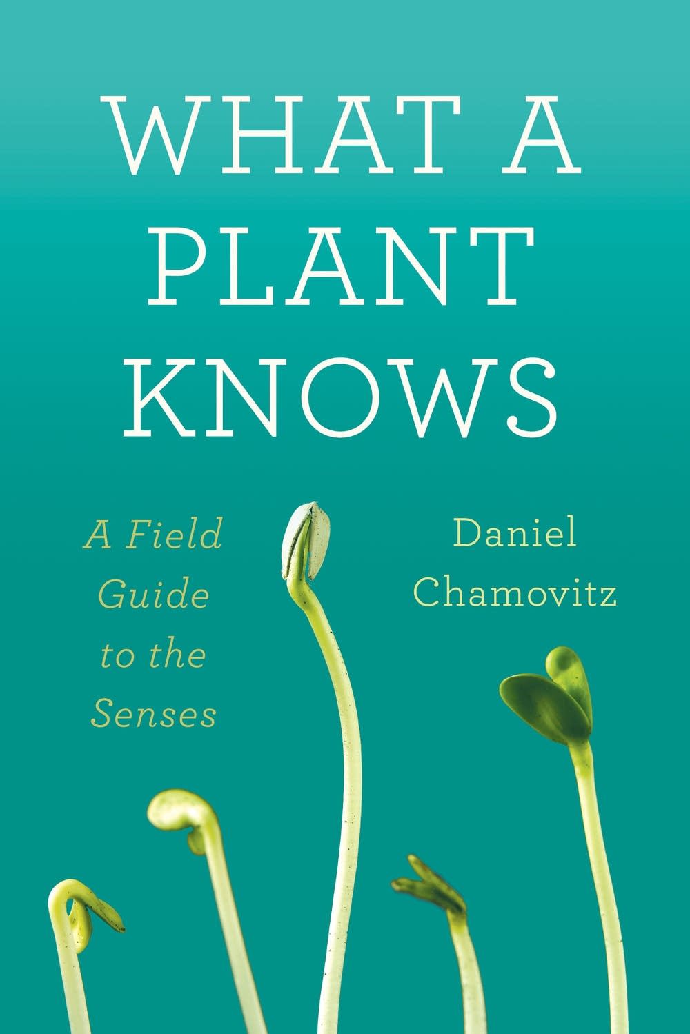 'What a Plant Knows' by Daniel Chamovitz