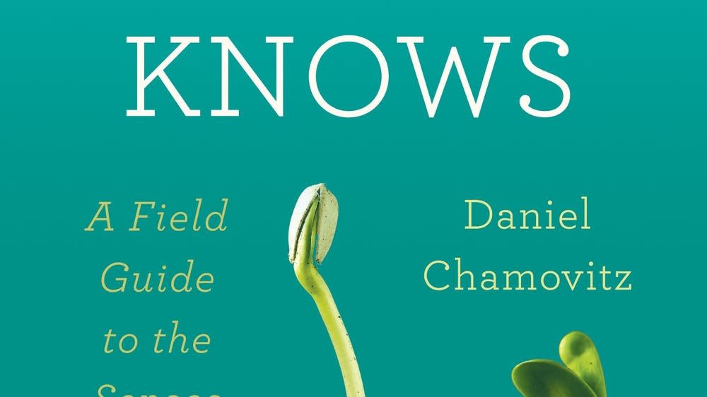 Daniel Chamovitz on what plants know | MPR News