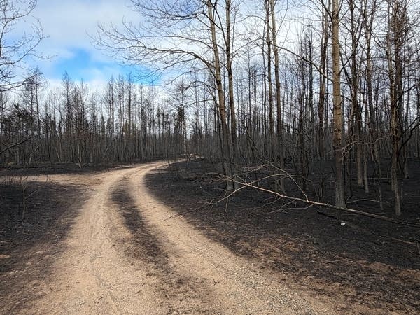 Flanders fire evacuation order lifted, campfire possible culprit