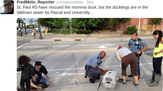 This St. Paul duck rescue photo has it all