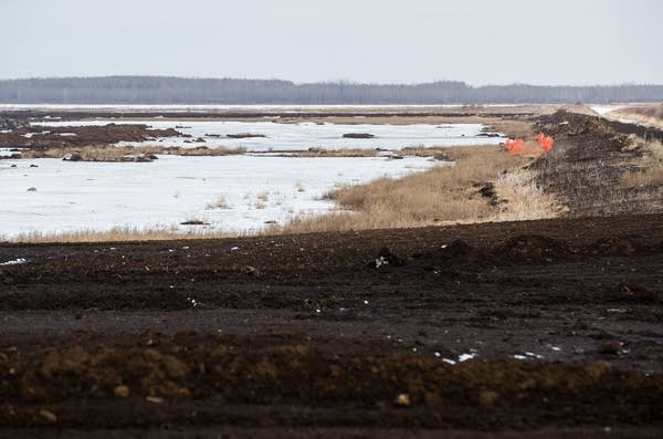 An already excavated portion of the peat bog is undergoing restoration.