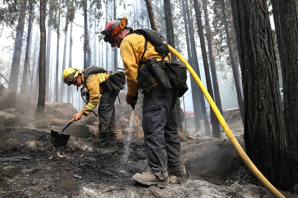 Rim Fire