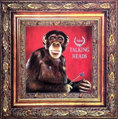 A framed photo of a smiling chimpanzee holding a flower