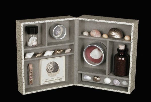 Jody Williams: Circumstantial Evidence