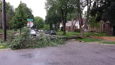 Tree limbs hanging in St .Paul