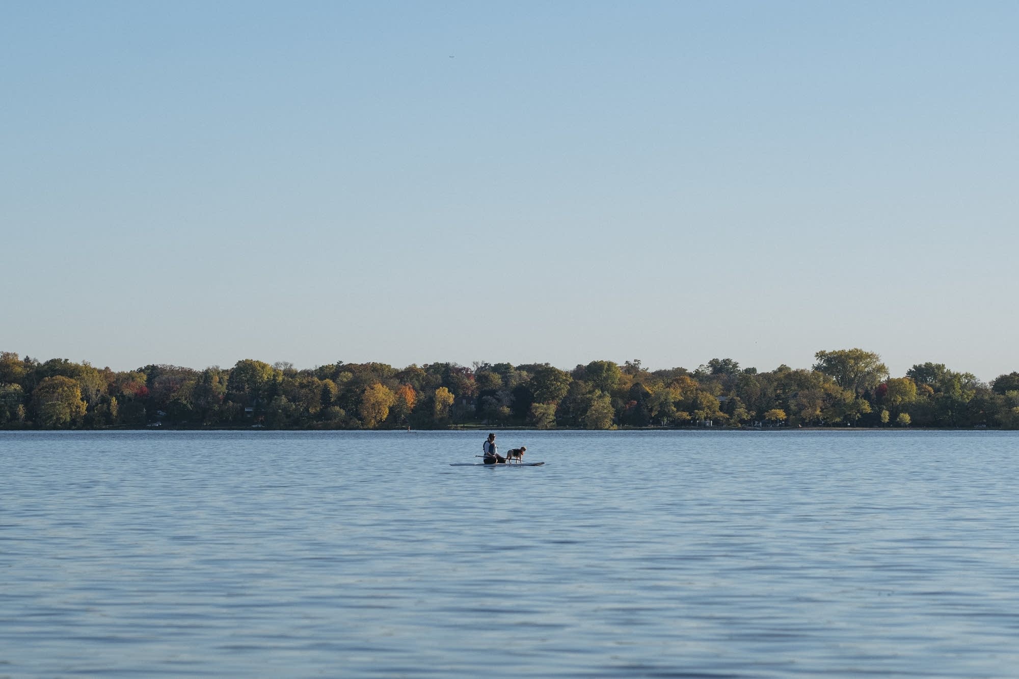 A person and their dog rest on a stand up paddle board.