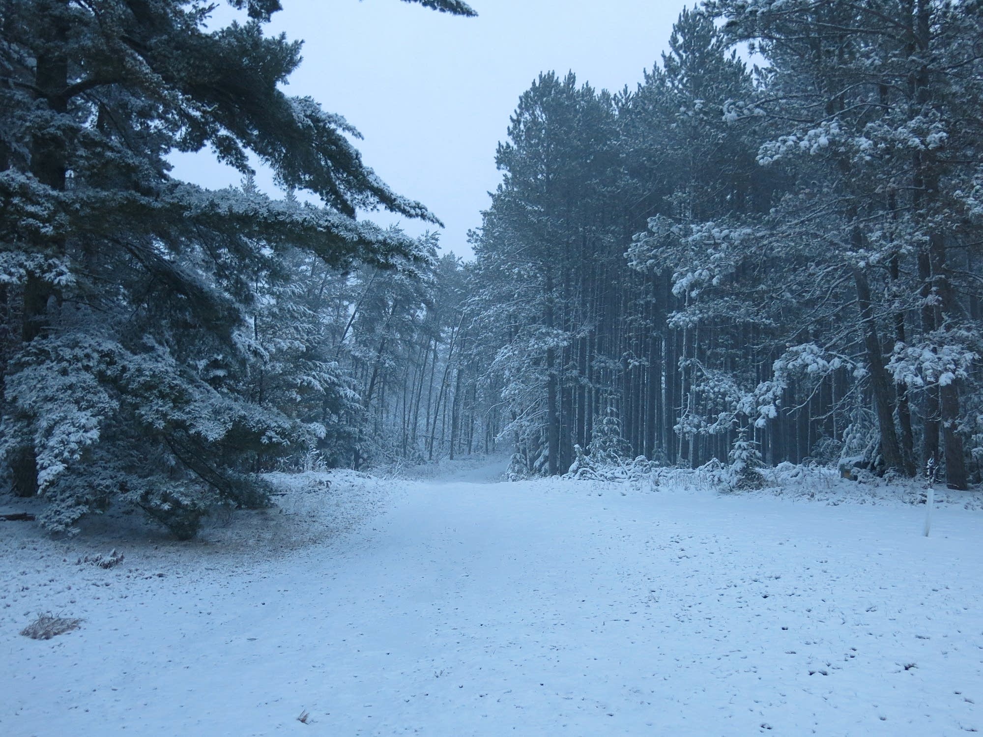 Photos Minnesotans greet the first winter storm of the season