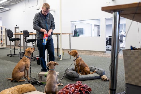 Gabe Schmidt gives treats to his three dogs. 