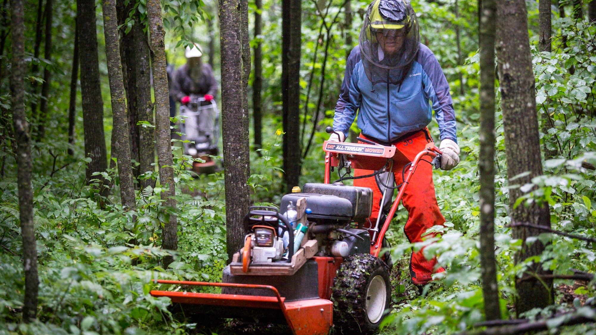 North Country trail The Minnesota national park you've never heard of