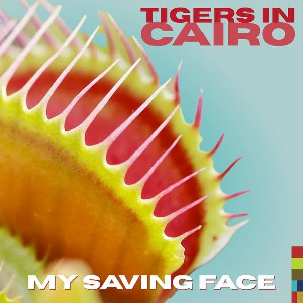 Tigers In Cairo - My Saving Face
