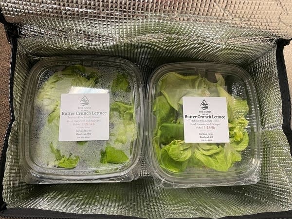 Two packages of lettuce.