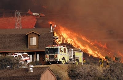 Wildfire
