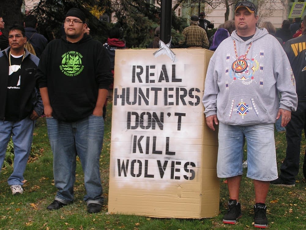 Wolf hunt protest