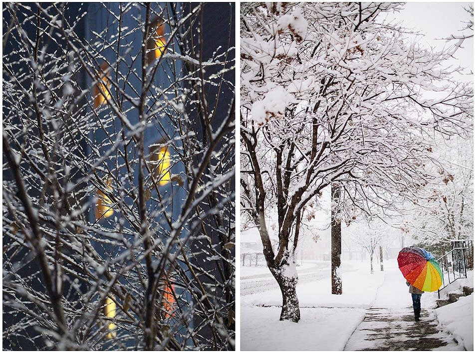 Winter in the cities