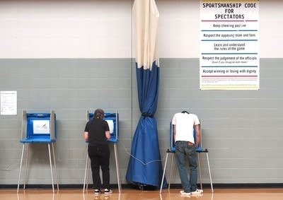 Choices on the direction of both parties await Minnesota primary voters