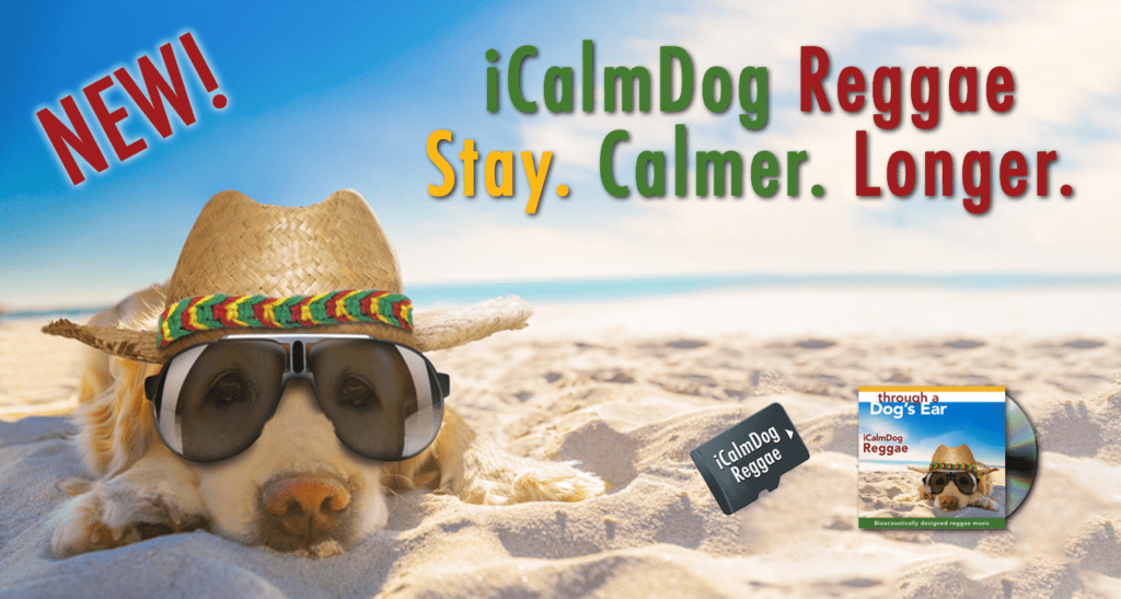 A poster image of "iCalmDog Reggae"