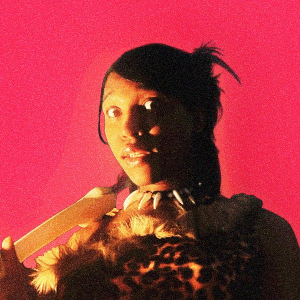 Portraits of Tracy - Q: From Where Do Our Primal Instincts Originate? A: MTV!