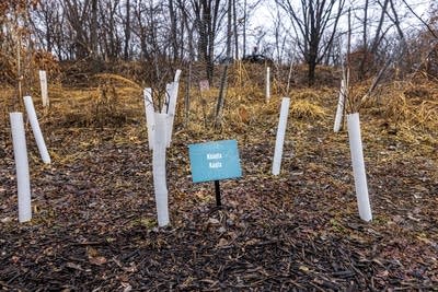 Mni Owe Sni (Coldwater Spring)