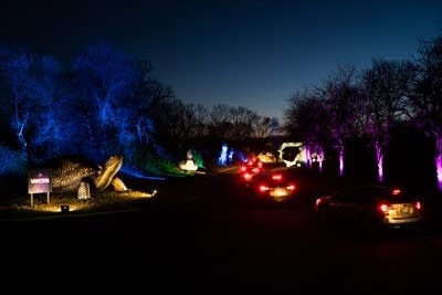 A giant turtle with blue trees behind as cars drive past.