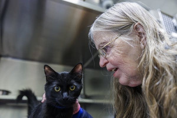 A woman pets a black cat