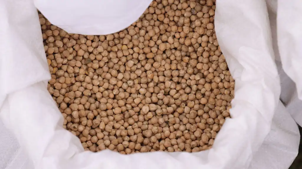 Carbon dioxide pollution is making food less nutritious