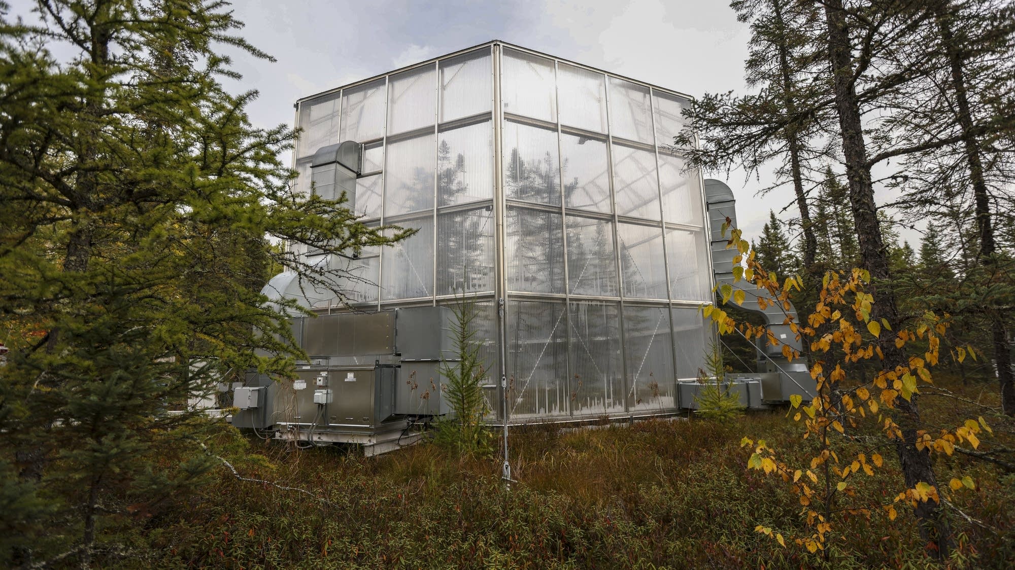 Feds to close Grand Rapids lab that does global-leading research on forestry, climate change