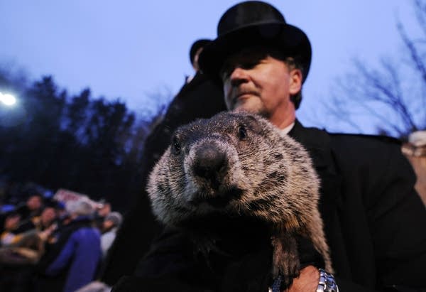 Punxsutawney Phil Makes An Appearance On Groundhog