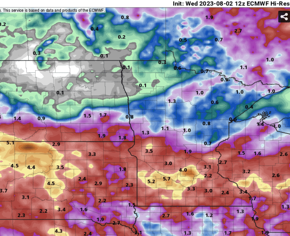 European model (ECMWF) precipitation output 2