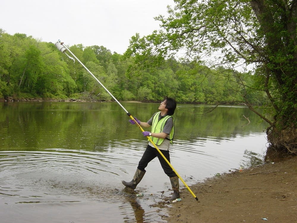 Dip sampling on the Cape Fear River