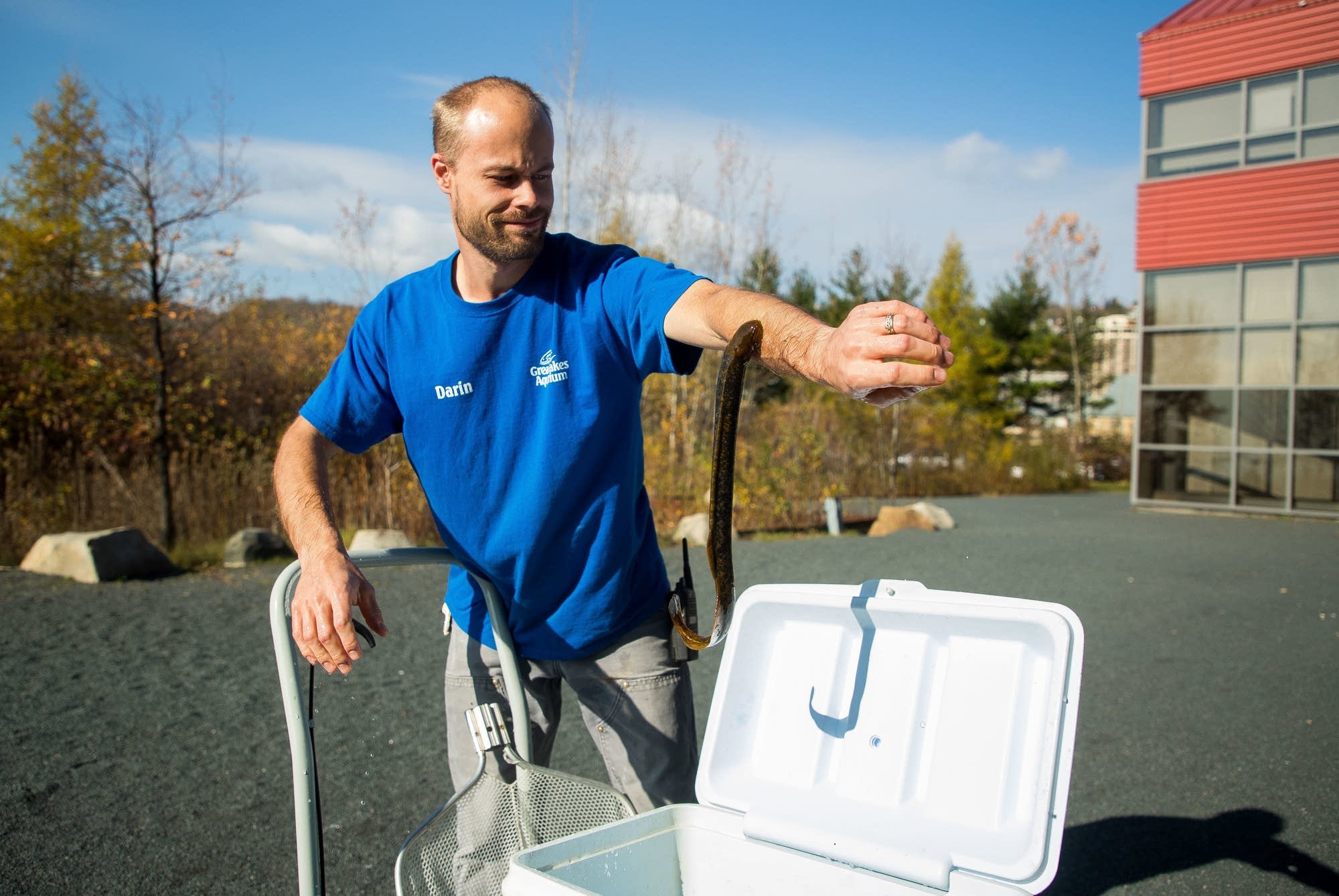 Darin Reinke shows the suction power of a sea lamprey, letting it latch on.