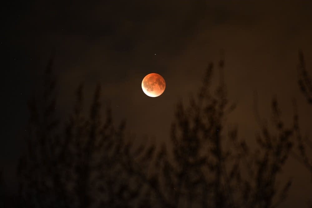 Lunar eclipse in St. Paul