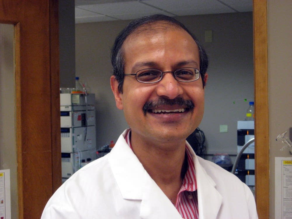 Professor Sanku Mallik