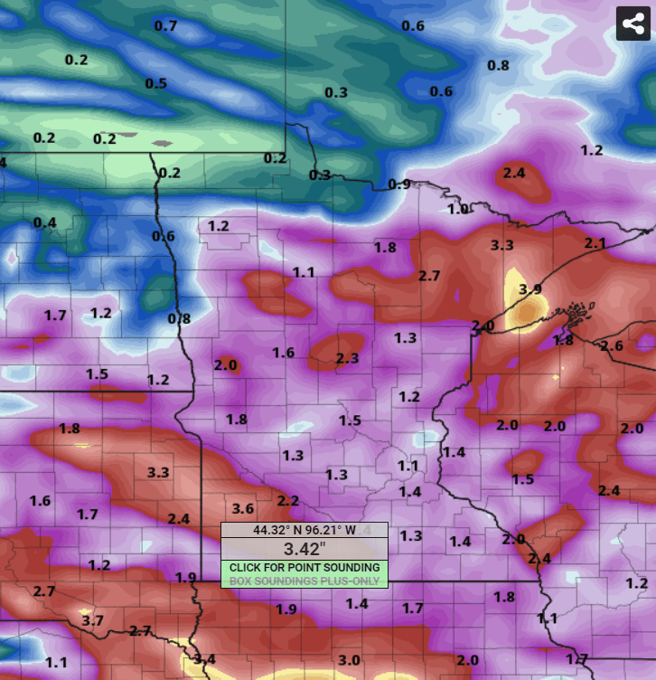 NOAA GFS precipitation output