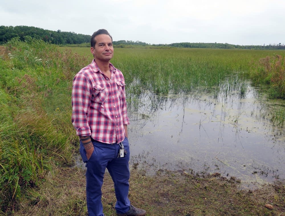 Fond du Lac Band restores wild rice to keep harvest tradition alive
