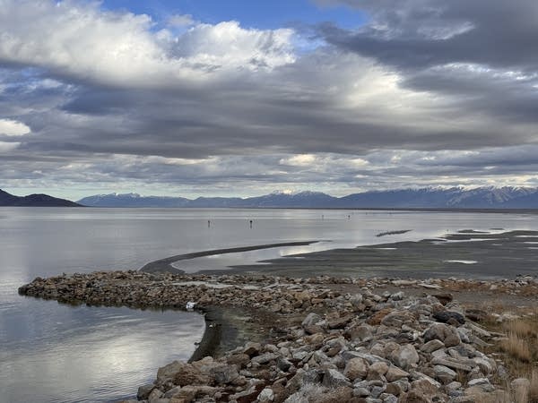 shore of the great salt lake